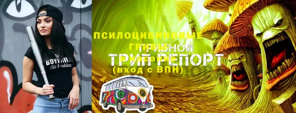 spice Балабаново