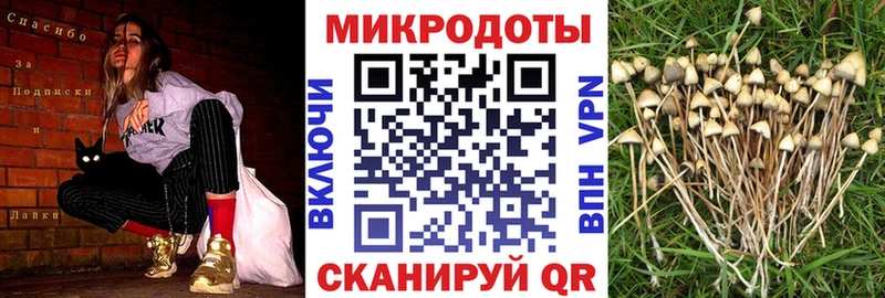 где купить наркоту Белокуриха Галлюциногенные грибы ЛСД